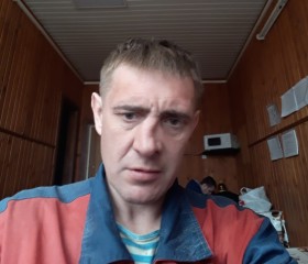 Алексей, 45 лет, Боровичи