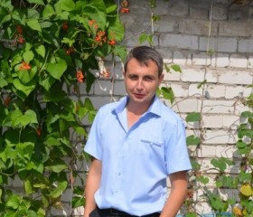 Владимир, 37 лет, Велиж