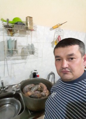 фара, 38, O‘zbekiston Respublikasi, Toshkent