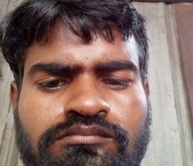 Dinesh Kumar, 27 лет, Surat