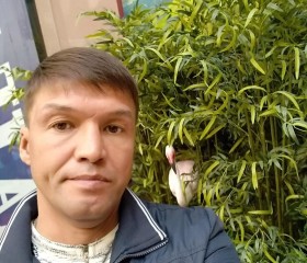 Альберт, 48 лет, Екатеринбург
