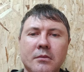 Сергей, 43 года, Бодайбо