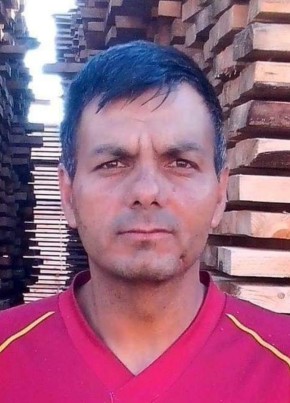 Moise, 49, Romania, Ion Gheorghe Duca