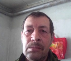Александр, 62 года, Талица