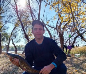 Vyacheslav, 40, Ulyanovsk
