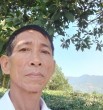 Tân