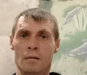 Сергей Чердынцев, 46 лет, Новосибирск