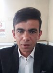 Mustafa, 37 лет, Gümüşhacıköy