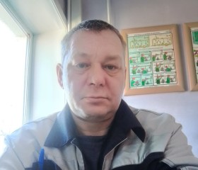 Сергей, 50 лет, Карпинск