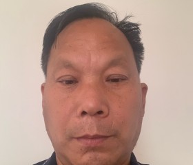 卫宏, 49, Shiyan