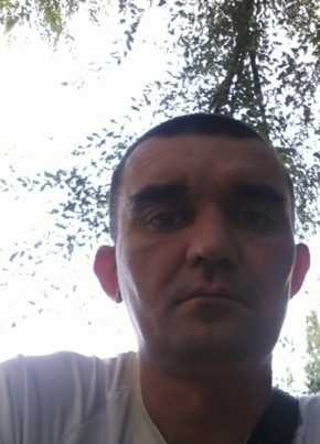 Павел, 44, Россия, Ростов-на-Дону