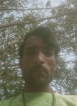 JUGNL, 31 год, Delhi
