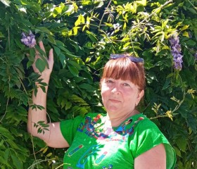 Наталья Балуева, 61 год, Пермь