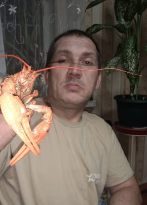 Алексей Семенов, 45, Россия, Луга