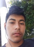 Luis angel, 21 год, Santa Ana