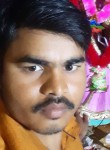 Rajesh Kumar , 29 лет, Hazaribagh