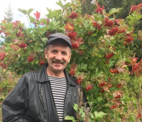 Валерий, 63 года, Пермь