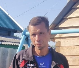 Сергей Железный, 43 года, Топчиха