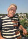Владимир, 64 года, Камянське
