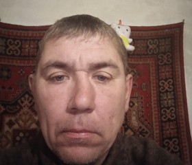 Алексей, 43 года, Карасук