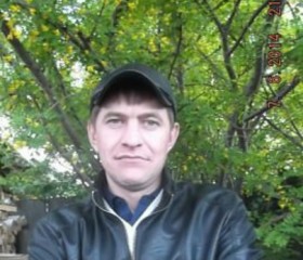 Артем, 41 год, Усть-Ишим