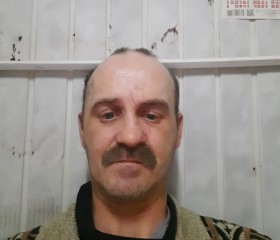 Иван, 43 года, Отрадный