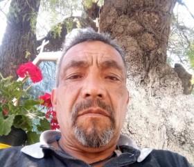 Gustavo Ugalde G, 47 лет, Clifton (State of Colorado)
