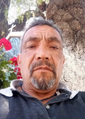 Gustavo Ugalde G, 47, United States of America, Clifton (State of Colorado)