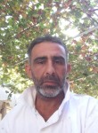 Murat, 46 лет, Balıkesir