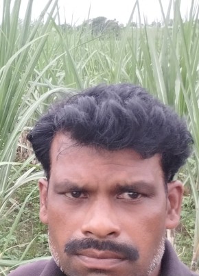 Cannbasu, sajjan, 45, India, Basavana Bāgevādi