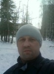 Сергей, 45 лет, Ковдор