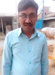 Shashi, 33 года, Kathmandu