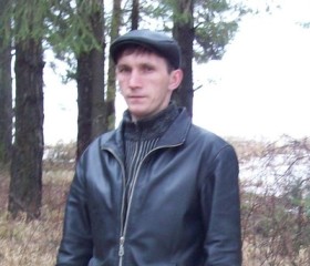 Сергей, 42 года, Дебесы