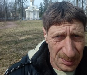 Геннадий, 48 лет, Петергоф