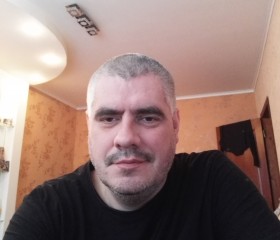 Владимир, 46 лет, Саратов