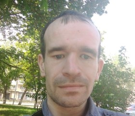 Артём, 36 лет, Борисовка