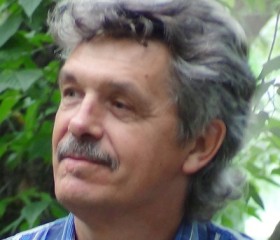 Михаил Силин, 66 лет, Екатеринбург
