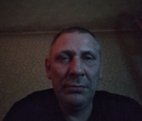 Андрей Dfvdjdj, 49 лет, Мончегорск