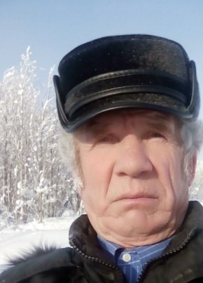 Александр Дёмин, 71, Россия, Губаха