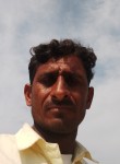kamruddin, 34 года, Jaipur