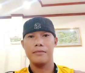 allanmackycyramm, 36 лет, Lungsod ng Baguio
