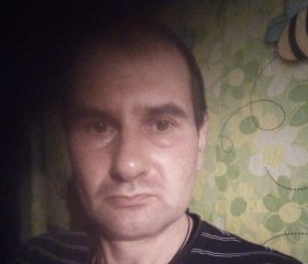 Мирон Бел, 45 лет, Бабруйск