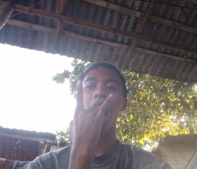 Alexander, 19, Capas