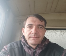 Евгений Забродин, 40 лет, Волгоград