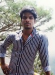 gunaseelan, 32 года, Chennai