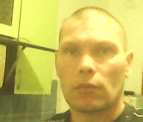 Дмитрий, 43 года, Бийск