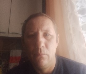 Сергей, 47 лет, Кингисепп