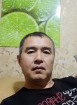 Медер, 46 лет, Бишкек