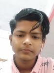 Ankit Verma, 20 лет, Lucknow