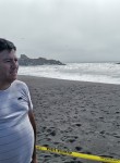 John, 51 год, Concepción